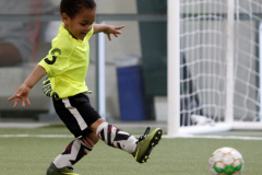 D9I1335-scaled-e1623336639204