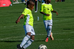 DSCF0080