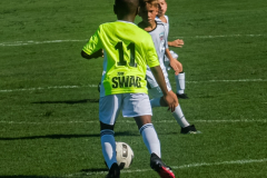 DSCF0081