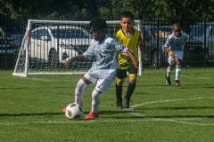 DSCF0147-2021-08-04-17.54.07