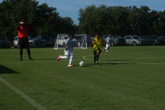 DSCF0148-2021-08-04-17.54.32-scaled