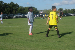 DSCF0150-2021-08-04-17.54.32-scaled