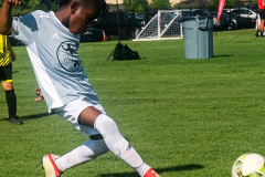 DSCF0158-2021-08-04-17.55.05