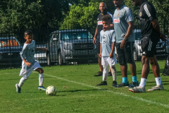 DSCF0173-2021-08-04-17.56.04