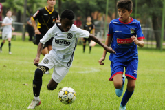 IC-Brazil-Select-11-scaled