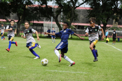 IC-Brazil-Select-14-scaled