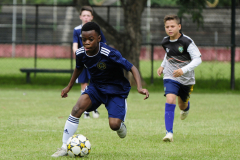 IC-Brazil-Select-15-scaled