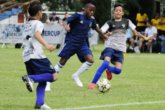 IC-Brazil-Select-17-scaled