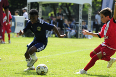 IC-Brazil-Select-23-scaled