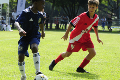 IC-Brazil-Select-24-scaled