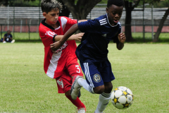 IC-Brazil-Select-25-scaled