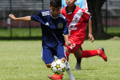 IC-Brazil-Select-28-scaled