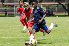 IC-Brazil-Select-29-scaled