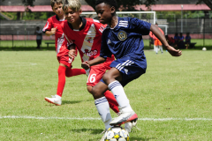 IC-Brazil-Select-30-scaled