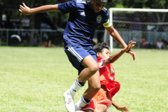 IC-Brazil-Select-31-scaled