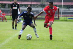 IC-Brazil-Select-32-scaled