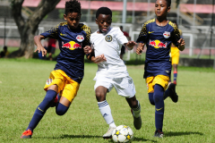 IC-Brazil-Select-34-scaled