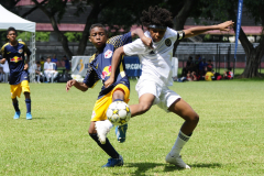 IC-Brazil-Select-38-scaled