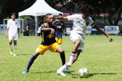 IC-Brazil-Select-39-scaled