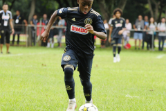 IC-Brazil-Select-4-scaled