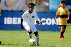 IC-Brazil-Select-45-scaled