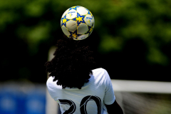 IC-Brazil-Select-48-scaled