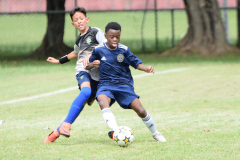 IC-Brazil-Select-53-scaled