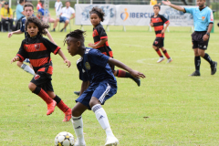 IC-Brazil-Select-55-scaled