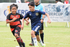 IC-Brazil-Select-56-scaled