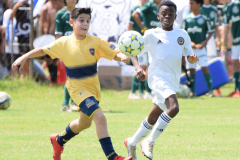 IC-Brazil-Select-57-scaled