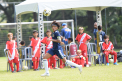 IC-Brazil-Select-60-scaled