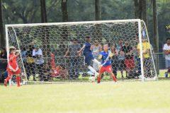 IC-Brazil-Select-63-scaled