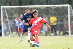 IC-Brazil-Select-66-scaled