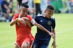 IC-Brazil-Select-68-scaled