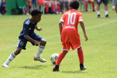 IC-Brazil-Select-69-scaled