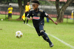 IC-Brazil-Select-7-scaled