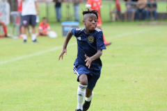 IC-Brazil-Select-70-scaled