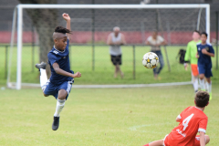 IC-Brazil-Select-71-scaled