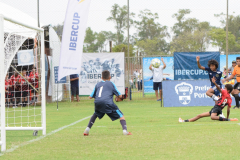 IC-Brazil-Select-74-scaled