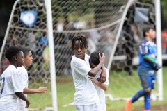 IC-Brazil-Select-75-scaled