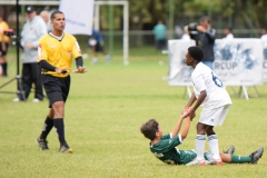 IC-Brazil-Select-76-scaled