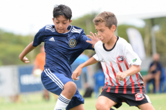 IC-Brazil-Select-77-scaled