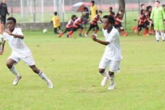 IC-Brazil-Select-80-scaled