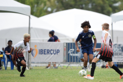 IC-Brazil-Select-81-scaled