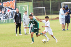 IC-Brazil-Select-82-scaled