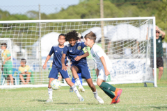 IC-Brazil-Select-84-scaled