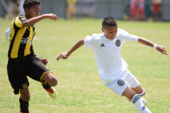 IC-Brazil-Select-86-scaled