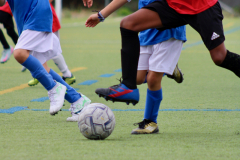 Photo-Jul-04-2025-6-04-52-AM