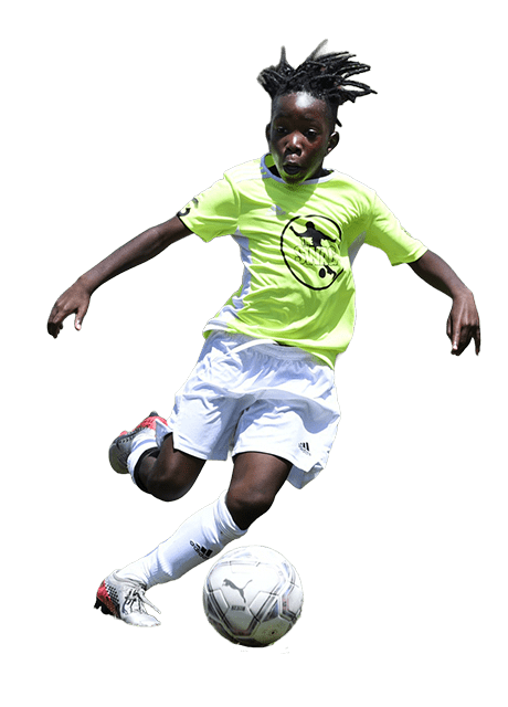 elitransparentsmaller